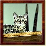 2005-05-28_022.JPG