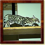 2005-05-28_024.JPG