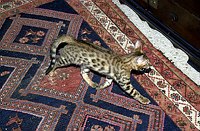 All too exciting to explore the great room for the first time!