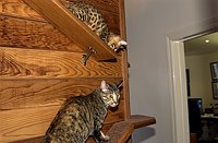 Lance coming down meets Kate on her way up.  