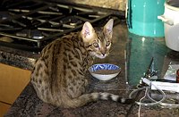 Dinnertime is always good.  