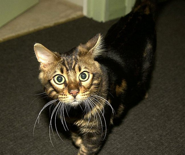 2004-12-30_004 crop.jpg