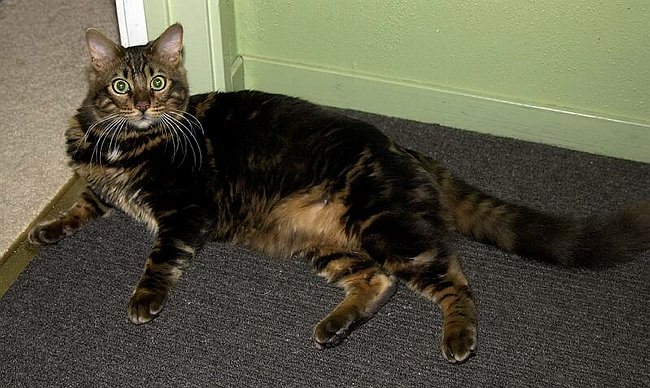 2004-12-30_007 crop.jpg