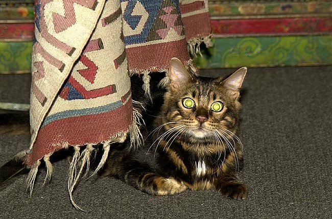 2004-12-30_012 crop.jpg