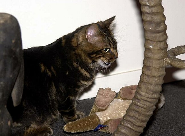 2004-12-30_019 crop.jpg