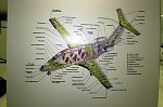 Eclipse 500 airplane cut-away diagram.  