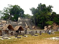 Stellae in from of the palace complex at Tikal.  